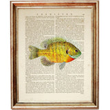 Set of 6 Ocean Life Dictionary Art Print, Ocean Treasures Wall Hanging