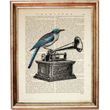 Vintage Typewriter, Gramophone, Telephone with Birds Trio, Set of 3 Dictionary Art Prints