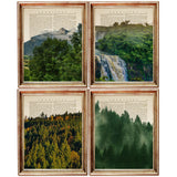Set of 4 Dictionary Art Prints, Enchanting Forest Whispers Wall Decor
