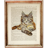 Maine Coon Cat Dictionary Art Prints - Set of 3 Nursery Wall Decor 8x10