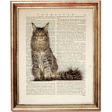 Maine Coon Cat Dictionary Art Prints - Set of 3 Nursery Wall Decor 8x10