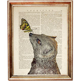 Mongoose Butterfly Nose Wall Art, Funny Animal Decor Print, 10x8 Mongoose Poster