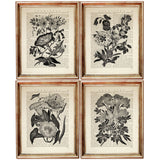 Set of 4 Black & White Botanical Dictionary Art Prints, Botanicals Art