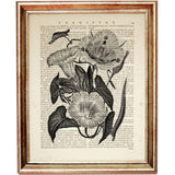 Set of 4 Black & White Botanical Dictionary Art Prints, Botanicals Art