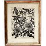 Botanical Dictionary Art Prints Set of 10 - Sunflower, Flower, Bee