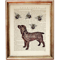Dog and Bees Illustration Wall Decor
