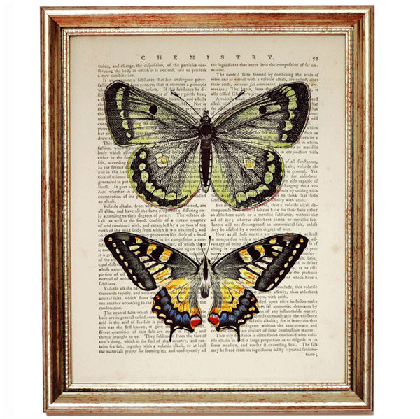 Book page print showcasing a pair of butterflies