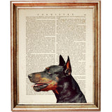 Elegant Doberman Art Prints - Set of 3 Portrait Decor