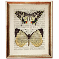 Two Butterflies Dictionary Book Print - Eclectic Wall Decoration