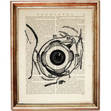 Anatomical Eye Dictionary Art Print