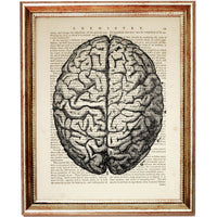 Set of 6 Anatomy Dictionary Art Prints, Get to the Heart of the Matter