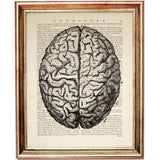 Set of 6 Anatomy Dictionary Art Prints, Get to the Heart of the Matter