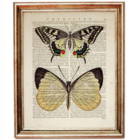 Set of 8 Colorful Butterflies Dictionary Art Prints, Nature Wall Decor