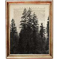 Moody silhouette of evergreen trees rising through fog, vintage nature print on old book page