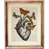 Anatomical heart illustration with colorful butterflies printed on an antique dictionary page