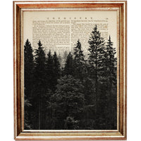 Misty forest treeline illustration with layered pine trees, printed on a vintage chemistry book page