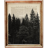 Black and white misty forest landscape with layers of pine trees fading into the distance, illustrated on a vintage chemistry book page.