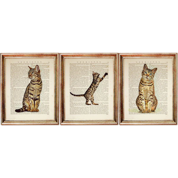 Set of three Bengal cat prints in various poses, illustrated over vintage book pages