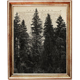 Towering pine trees in a dense black and white forest scene, printed over an aged dictionary page for rustic woodland wall decor.