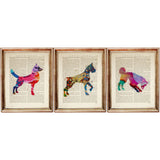 Set of three colourful abstract dog dictionary art prints displayed in wooden frames, featuring vibrant dog silhouettes on vintage book pages.