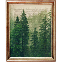 Forest Wall Art Set of 3, Pine Nature Dictionary Art Prints 8x10
