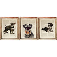 Miniature Schnauzer Poster, Dog Dictionary Art Prints Set