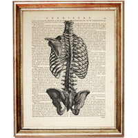 Set of 6 Anatomy Dictionary Art Prints, Get to the Heart of the Matter