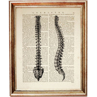 Set of 6 Anatomy Dictionary Art Prints, Get to the Heart of the Matter