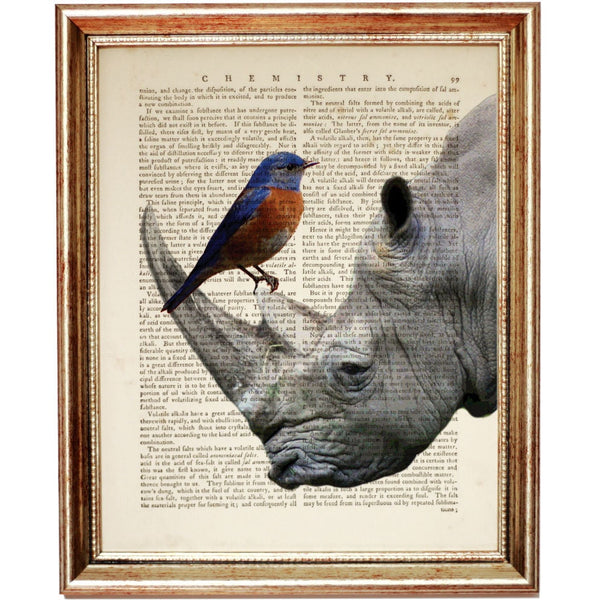 Rhinoceros Dictionary Art Print, Rhino Poster with Bird, Safari Wall Decor