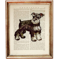 Schnauzer Mini Art Set - 2 Piece Dictionary Prints Wall Decor