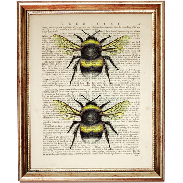 Bumble Bee Wall Art Print, Beekeeper Dictionary Art Decor