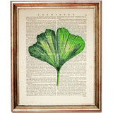 Set of 4 Flower Dictionary Art Prints, Blooming Botanicals Poster