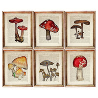 Set of 6 Mushroom Dictionary Art Prints, Fungi Fanatics Kitchen Wall Decor