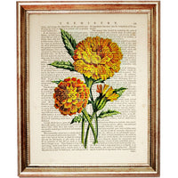 Set of 4 Flower Dictionary Art Prints, Blooming Beauties Wall Decor