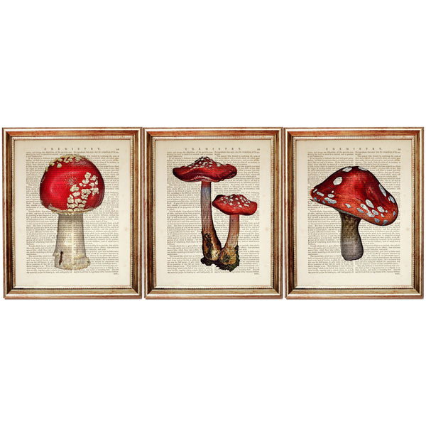 Mushroom Art Prints Set of 3 Vintage Dictionary Decor, Fungi Wall Art