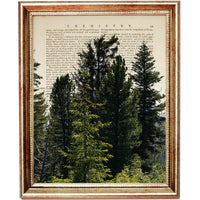 The Wild Woodland Set of 3 Forest Dictionary Art Prints