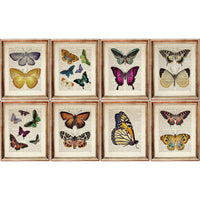 Set of 8 Colorful Butterflies Dictionary Art Prints, Nature Wall Decor