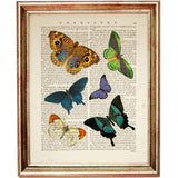 Set of 8 Colorful Butterflies Dictionary Art Prints, Nature Wall Decor