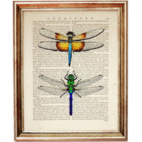 Set of 3 Dictionary Art Prints, Bumble Bee, Butterfly, Dragonfly Wall Art
