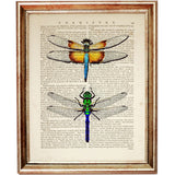 Set of 3 Dragonfly Dictionary Art Prints, Fluttering Wings Wall Decor