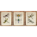 Set of 3 Dragonfly Dictionary Art Prints, Fluttering Wings Wall Decor