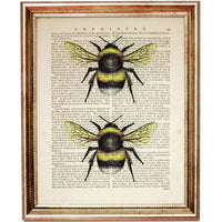 Set of 3 Dictionary Art Prints, Bumble Bee, Butterfly, Dragonfly Wall Art