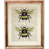 Set of 3 Dictionary Art Prints, Bumble Bee, Butterfly, Dragonfly Wall Art