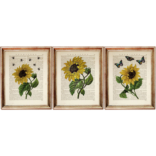 Sunflower Dictionary Art Prints Set, Set of 3 Floral Posters