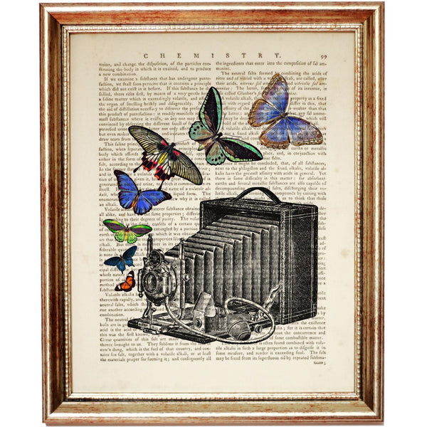 Vintage Camera with Butterflies Dictionary Art Print