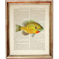 Set of 6 Ocean Life Dictionary Art Print, Ocean Treasures Wall Hanging