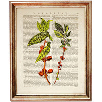 Set of 3 Dictionary Art Prints: Coffee Lover's Gift - Coffee Plant & Beans Artwork
