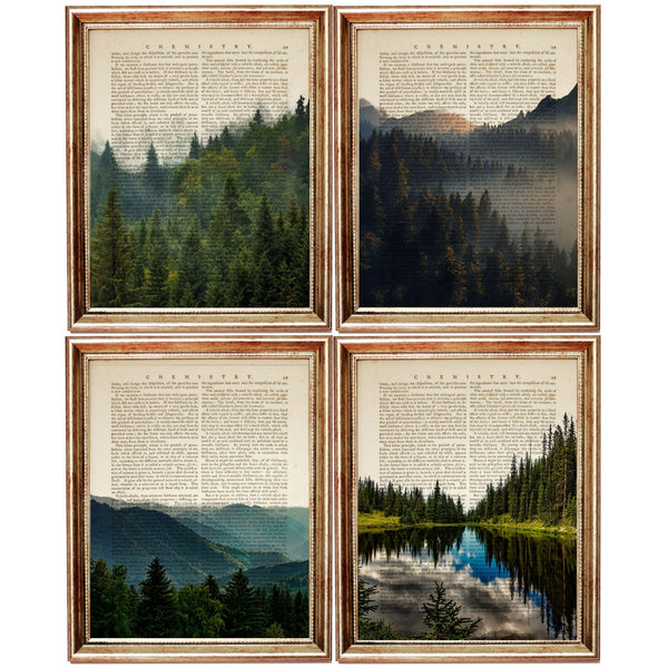 Set of 4 Forest Dictionary Art Prints, Enchanting Forest Artwork