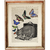 Antique bellows camera surrounded by colourful blue, green, yellow and purple butterflies on a vintage dictionary page, displayed in a brown wooden frame.
